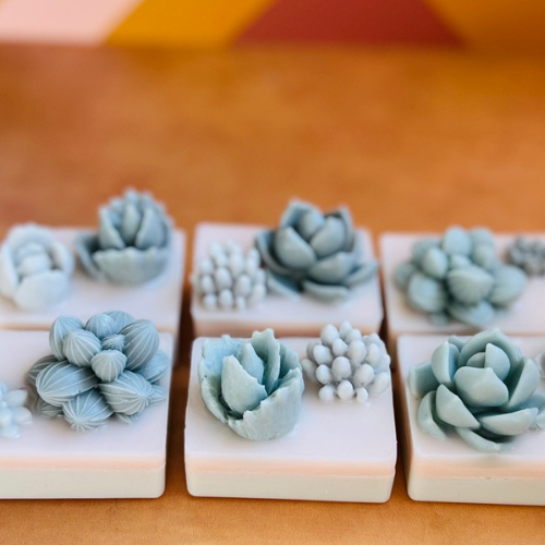 Cactus Soap