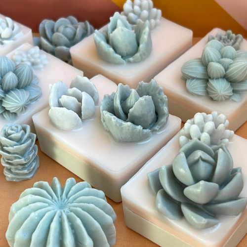succulent soap Cactus Soap – 1111 Elm Candle & Soap Shoppe