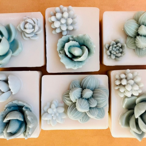 Cactus Soap