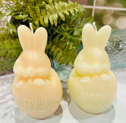 Easter Bunny In Egg Candle