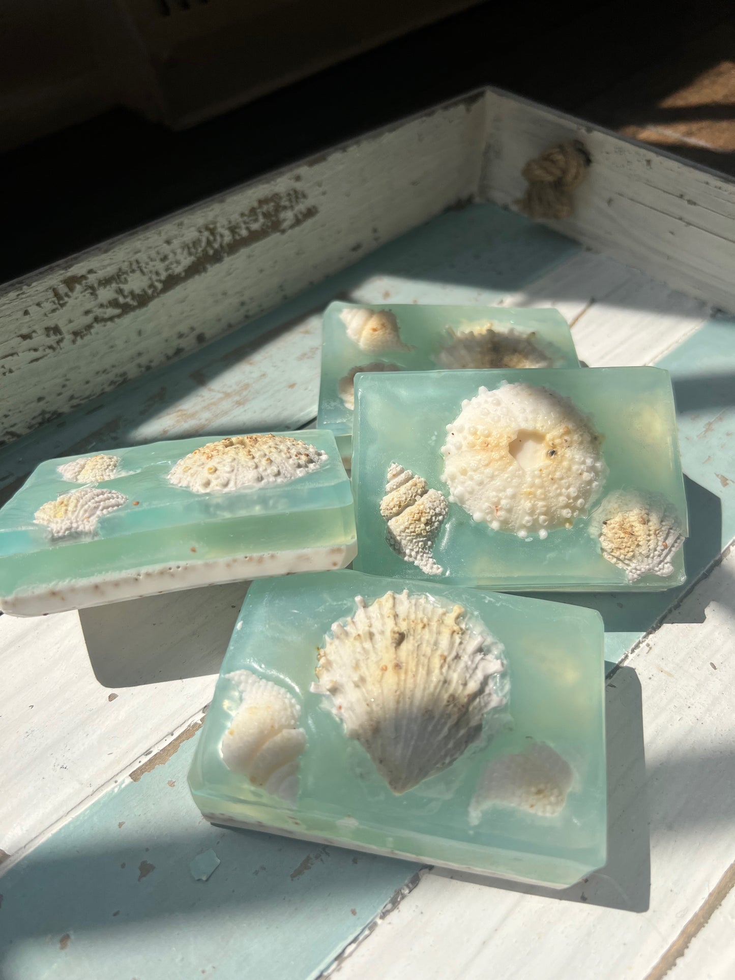 Glycerine Seashell Soap
