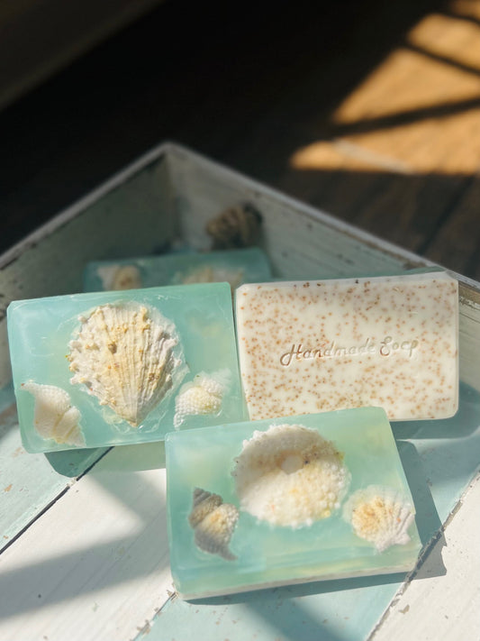 Glycerine Seashell Soap