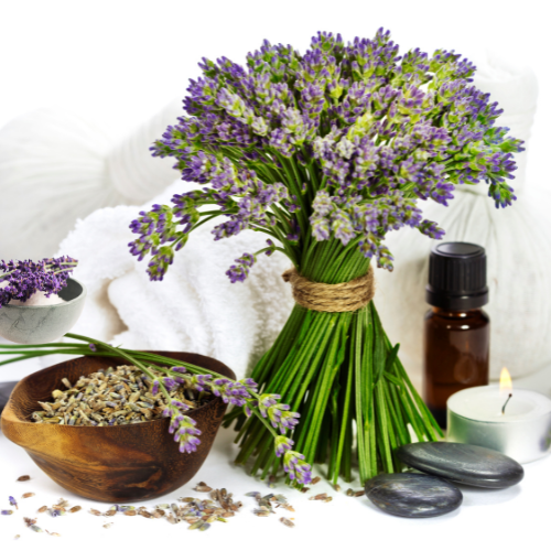 Lavender Lovers Class February 25th, 7-9 PM