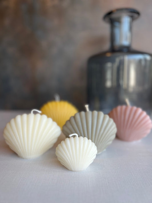 Seashell Soap and Candles