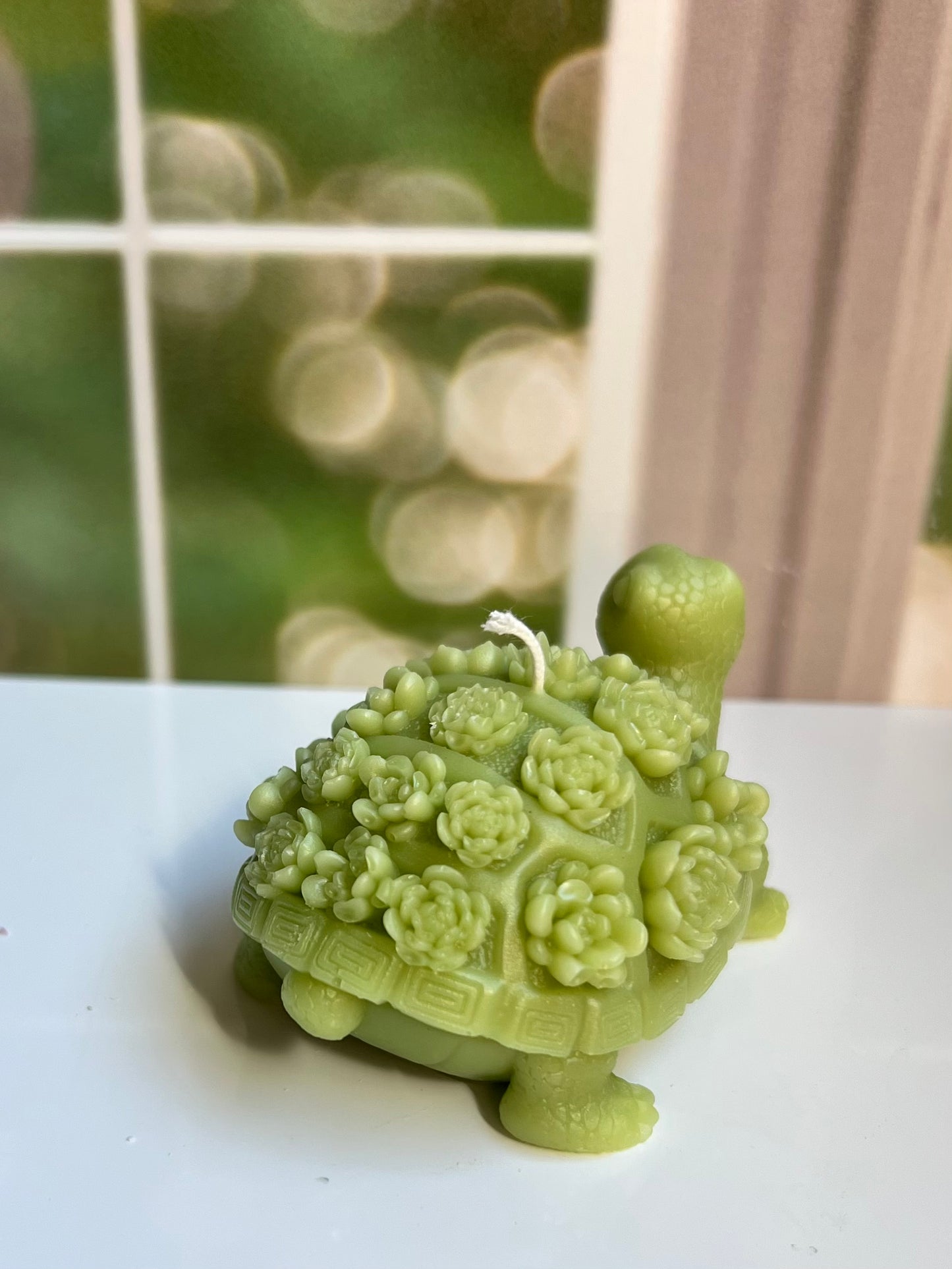 Turtle Candle with Flower Shell