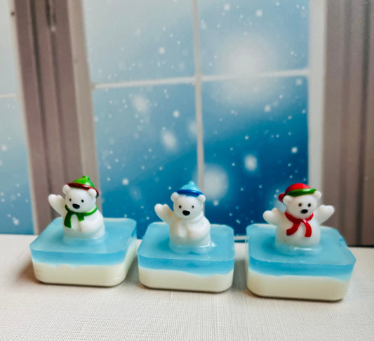 Polar Bear Duck Soap Set