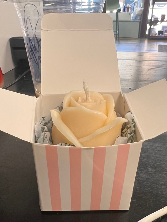 Rose Candle in Box