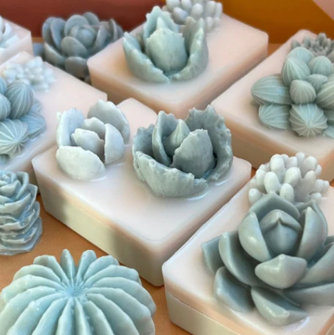 Cactus Succulent Soap Class March 21st, 3-4:30